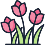 Flowers & Plants