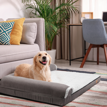 BigngoPaw Heavy Duty Dog Bed for Large & Medium Pets – Super Soft L-Shaped Calming Chaise Sofa & Kennel Mat with Removable Plush Cover – HouseNook